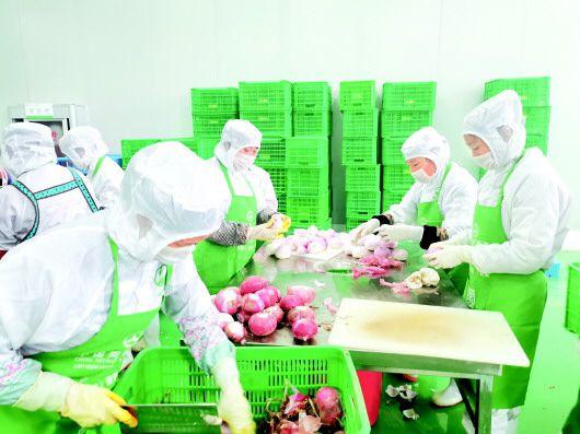 西秀区:净菜工厂延伸蔬菜产业链|农产品|加工厂_网易订阅