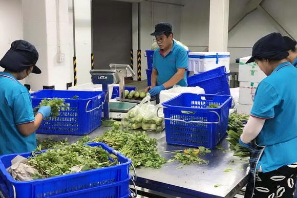 如今,周转于济洪蔬菜浦东工厂的蔬菜品类达到200多种,从田头收赖哪