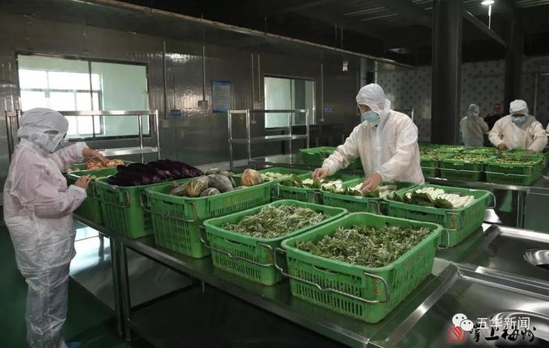 汉光超顺农产品冷链仓储物流园净菜加工厂竣工投产