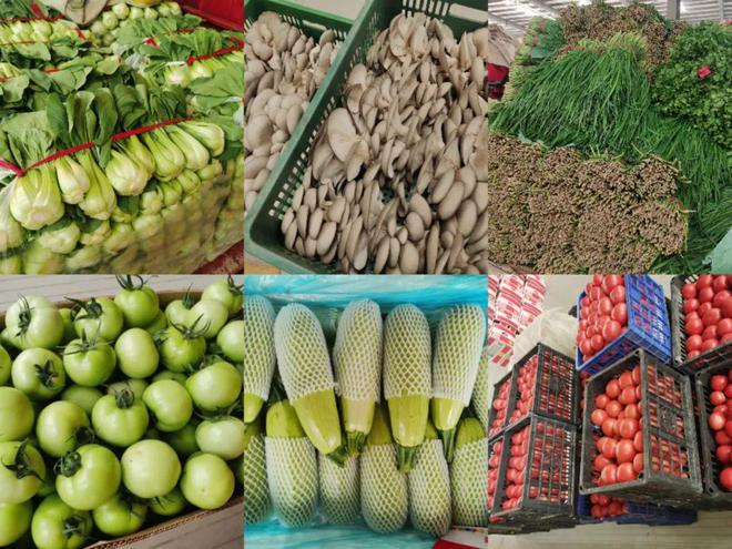 农产品销售平台和中国农批延安农产品物流园联合开展蔬菜展销活动