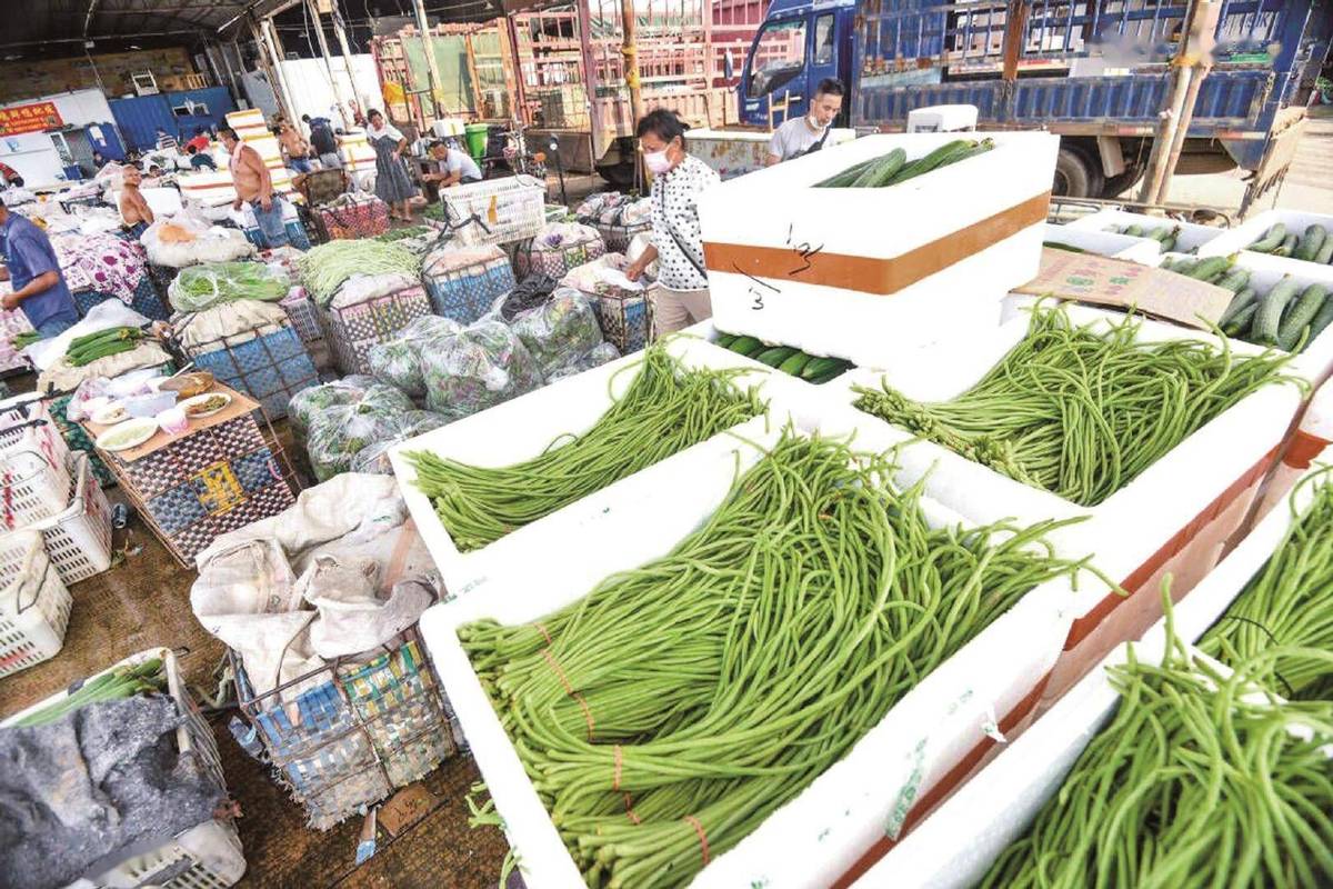 每天有近4000吨新鲜蔬菜,2500吨水产品进场销售,可供各级集贸市场