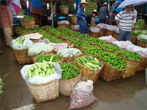 蔬菜配送|袋鼠农产品销售|西安蔬菜配送供应商